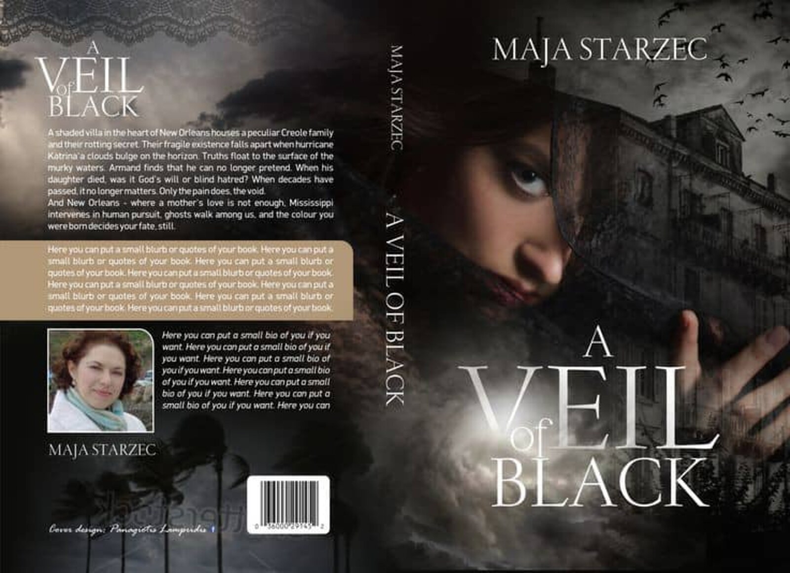 A Veil of Black cover
